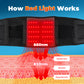 660nm & 850nm Red Light Heated Waist Belt